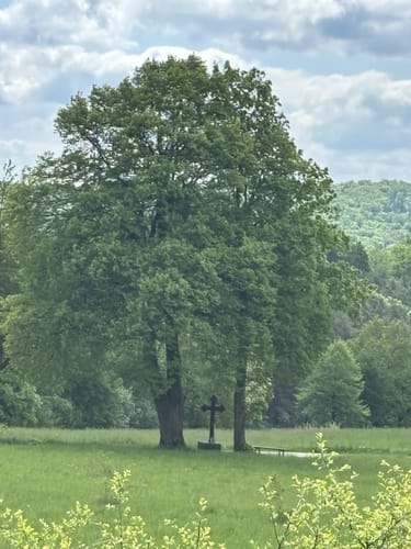 Der Hitgenheierweg in und um Willebadessen