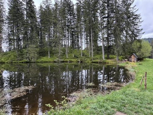 Zum Mathisleweiher