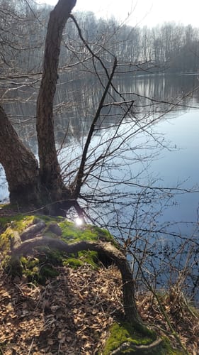 Runde am Möwenmoor