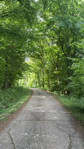 Matzenbach - Etschberg - Godelhausen