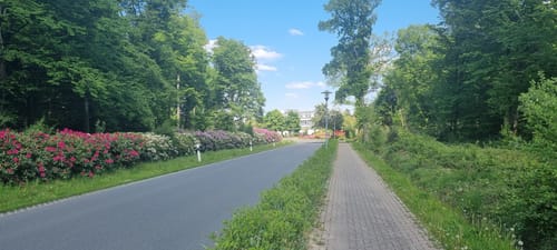 Bad Bentheim Hutewald