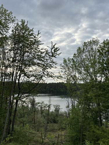 Um den Berggeistweiher