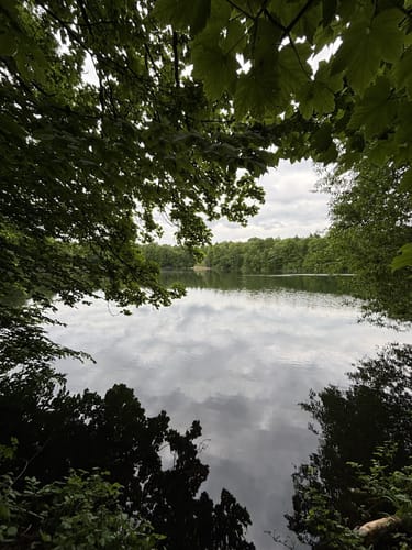 Um den Berggeistweiher