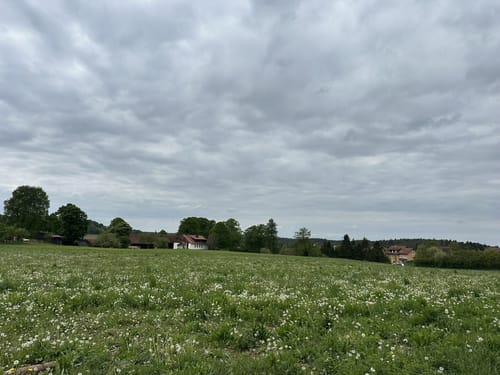 Brauereienweg
