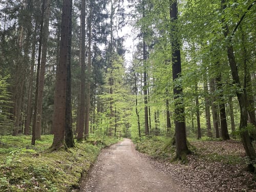 Brauereienweg