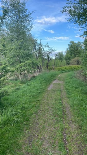 Runde am Dosenmoor