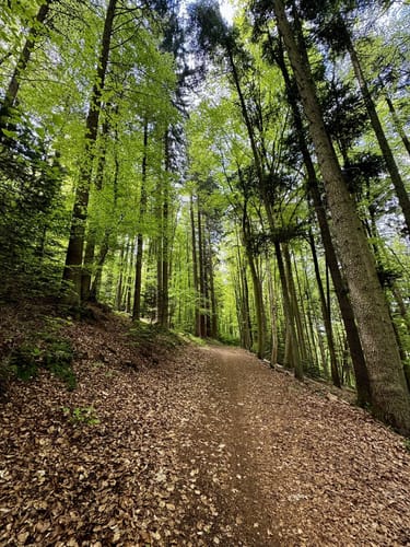 Nach Morlautern