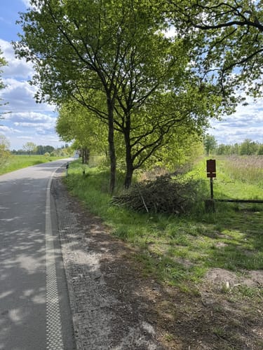 Bellingwolderkanaal