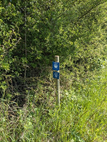Liebliches Taubertal 24 Vorbach