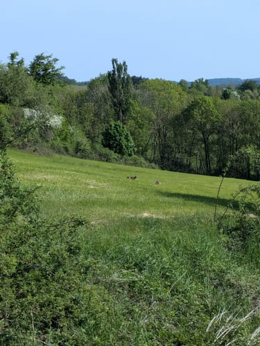 Liebliches Taubertal 24 Vorbach