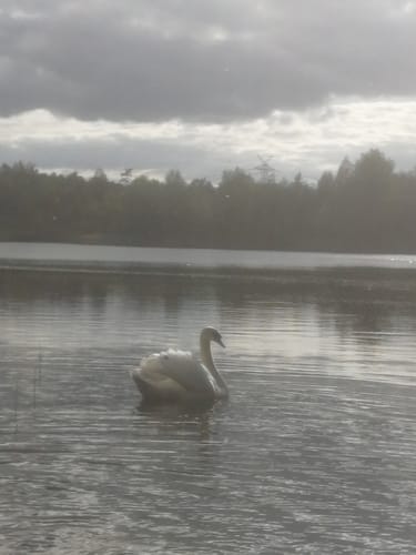 Im Freizeitpark Kaltenkirchen