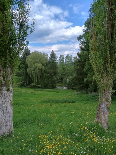 Premiumwanderweg: Vitaltour Schlossweg