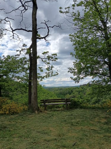 Premiumwanderweg: Vitaltour Schlossweg