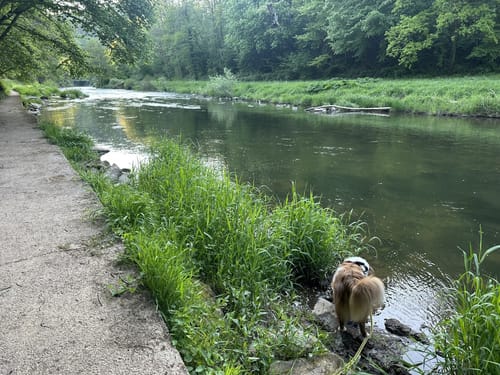 Durch die Kyllburg Wandereifel