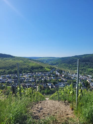 Mertesdorf 1 (Me 1)