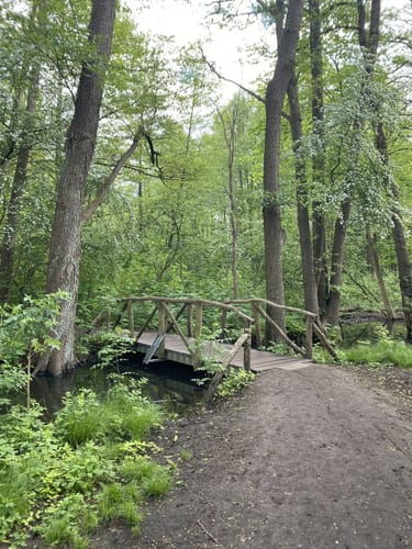 Summt - Mühlenbecker See - Mühlenteich