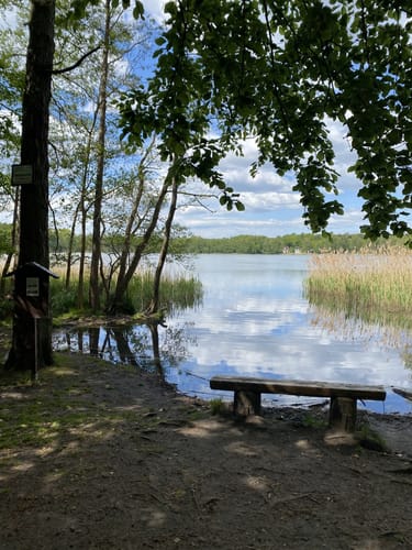 Summt - Mühlenbecker See - Mühlenteich