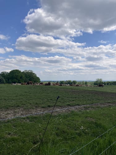 Freising - Erlau - Pettenbrunn