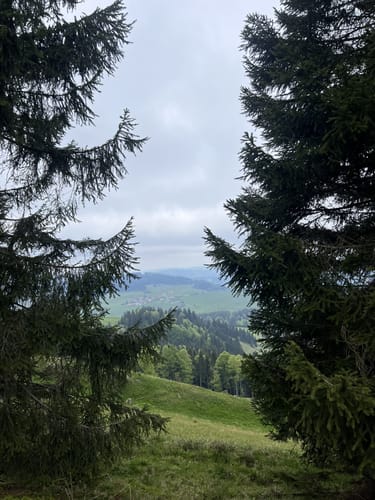 Salmaser Höhe bei Thalkirchdorf