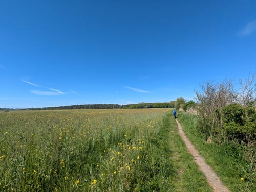 Wustrow - Niehagen