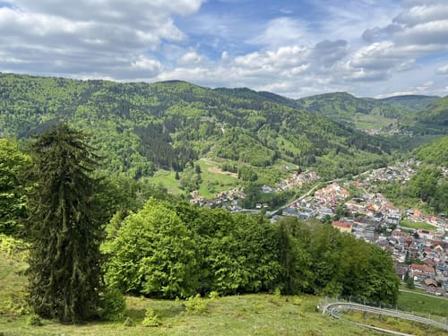 Todtnau - Hasenhorn - Gisiboden - Bernauer Kreuz