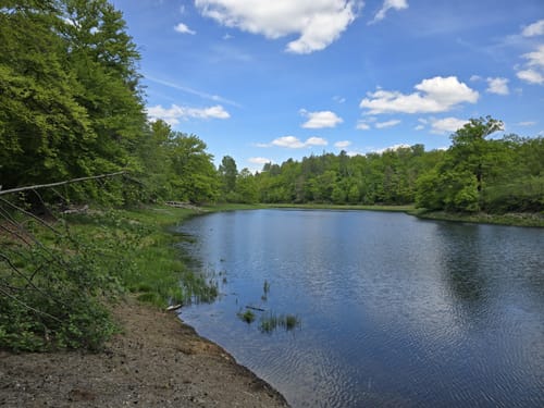 Rotwildpark bei Stuttgart