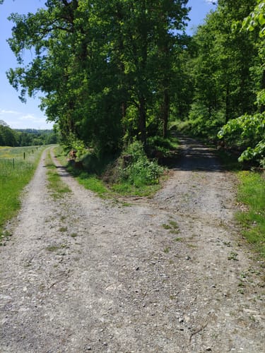 Buchhorner See - Gleichener See