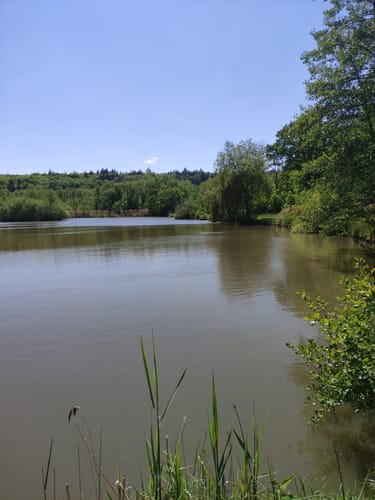 Buchhorner See - Gleichener See