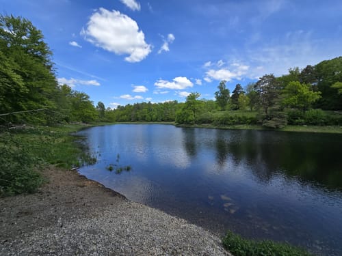 Rotwildpark bei Stuttgart