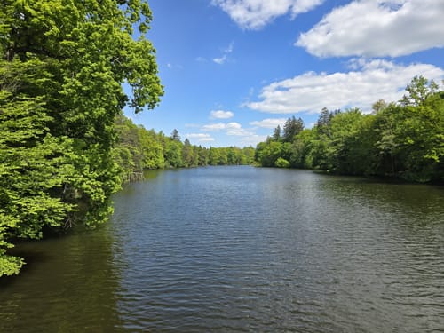 Rotwildpark bei Stuttgart