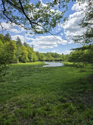 Rotwildpark bei Stuttgart