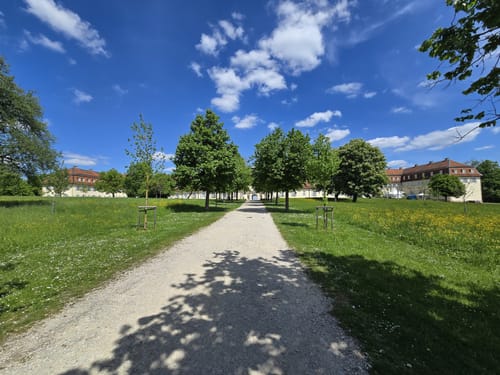 Rotwildpark bei Stuttgart