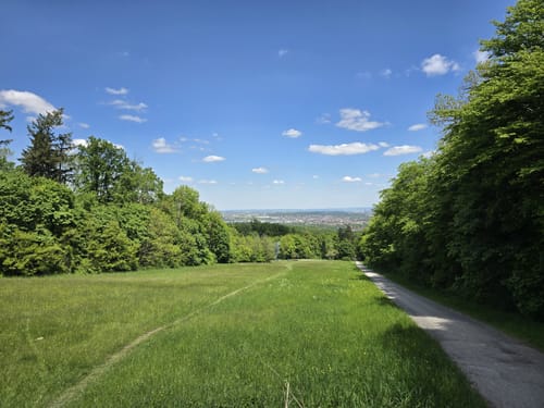 Rotwildpark bei Stuttgart
