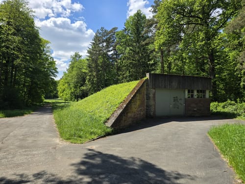 Rotwildpark bei Stuttgart