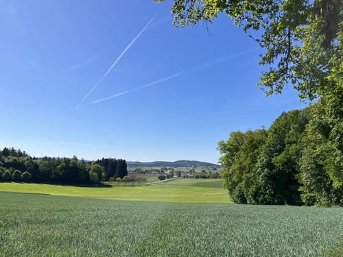 Tannerl-Kapelle und Jungfernhöhe ab Ölbergkapelle