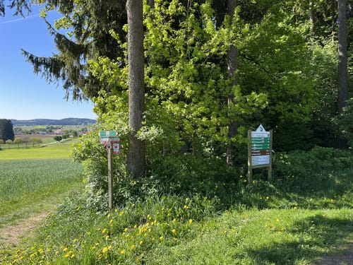 Tannerl-Kapelle und Jungfernhöhe ab Ölbergkapelle