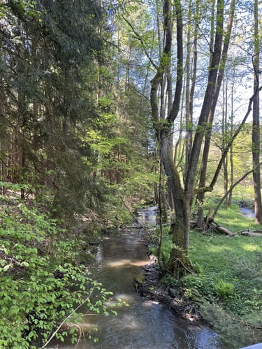Tannerl-Kapelle und Jungfernhöhe ab Ölbergkapelle