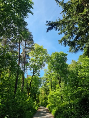 Herrenhölzle Rundweg 3
