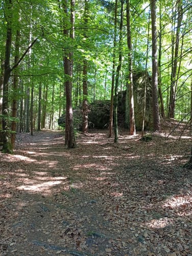 Bärnfels Rundwanderweg Herzogwind