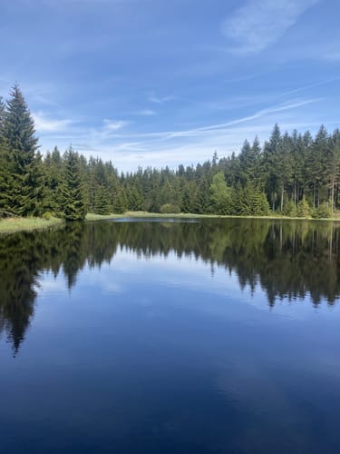Im Schwarzwassertal