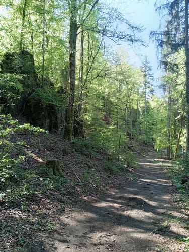 Bärnfels Rundwanderweg Herzogwind