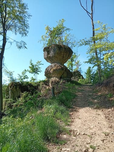 Bärnfels Rundwanderweg Herzogwind