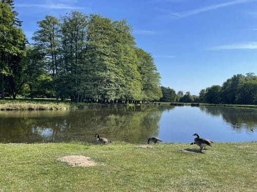 Durch den Wildpark Dülmen