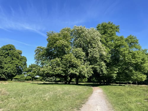 Durch den Wildpark Dülmen