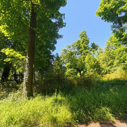 Graf von Wiser Weg