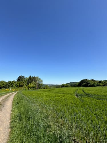Stausee-Prümtalroute (Premiumwanderweg)