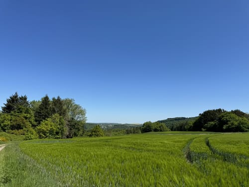 Stausee-Prümtalroute (Premiumwanderweg)