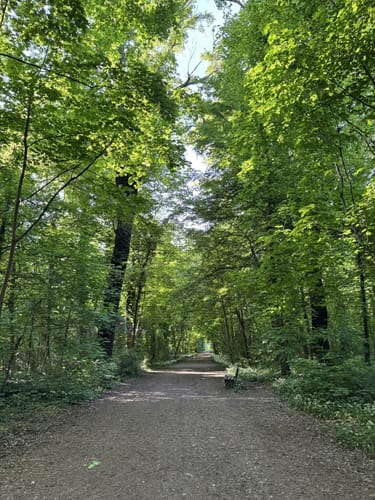 In den Volkspark Kleinzschocher
