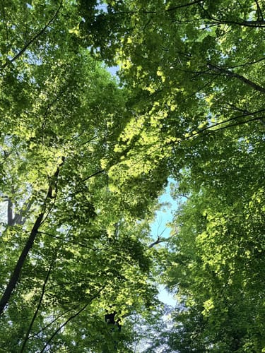 In den Volkspark Kleinzschocher