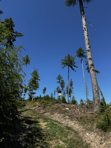 Limesweg, Großer Feldberg und Altkönig Rundweg